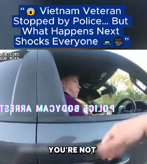 “ Vietnam Veteran Pulled Over by Police — But What Happens Next Leaves the Entire Neighborhood Speechless ”