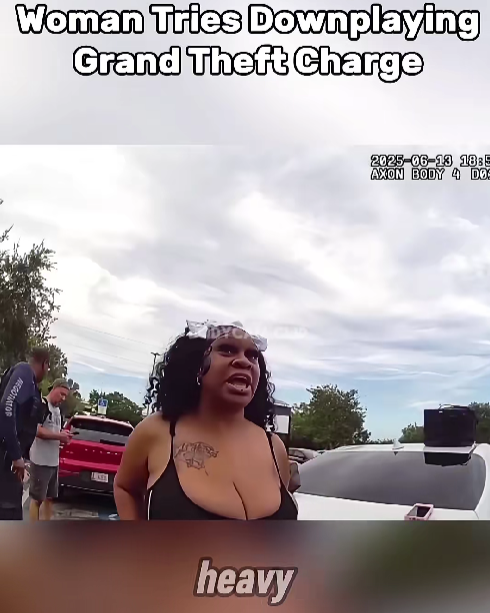 “Woman Tries Talking Her Way Out of Grand Theft Charge — But Police Aren’t Buying It”