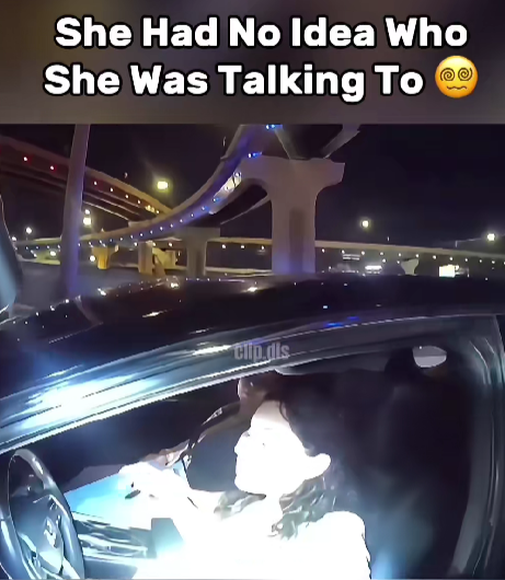“Driver Mouths Off During Traffic Stop — Then Realizes Who She’s Actually Talking To…”