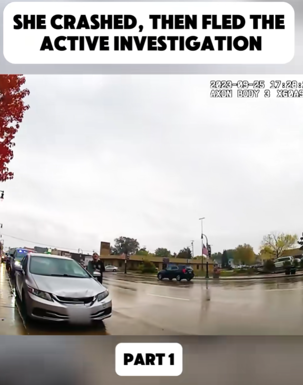 “She Crashed, Then Tried to Run — Officers Stunned by Her Next Move (Part 1)”