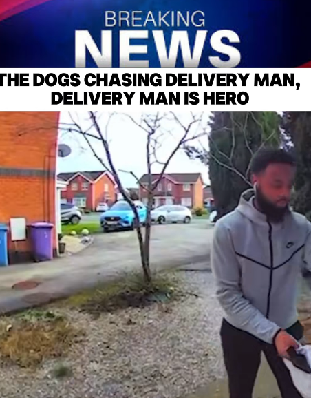 “Delivery Man Turns Into Unexpected Hero After Outrunning Loose Dogs — Doorbell Cam Captures the Dramatic Moment!”