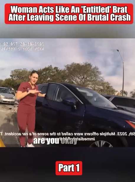 “Entitled Woman Confronts Police After Fleeing Brutal Crash — Her Attitude Shocks Everyone!”