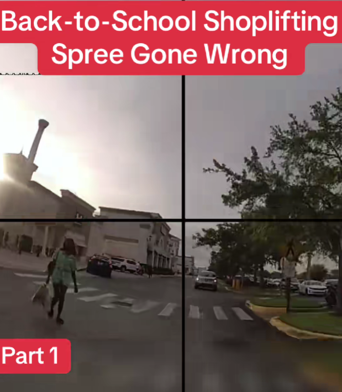 “Back-to-School Shopping Trip Turns Into CHAOS — What This Teen Tried to Do Stunned Everyone!”