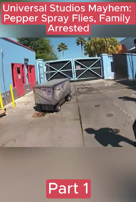 “Theme Park Chaos: Family Meltdown at Universal Studios Ends With Pepper Spray and Arrests”