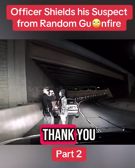 Officer Literally Becomes a Human Shield to Protect His Own Suspect During a Sudden Burst of Gunfire — The Incredible Dashcam Footage