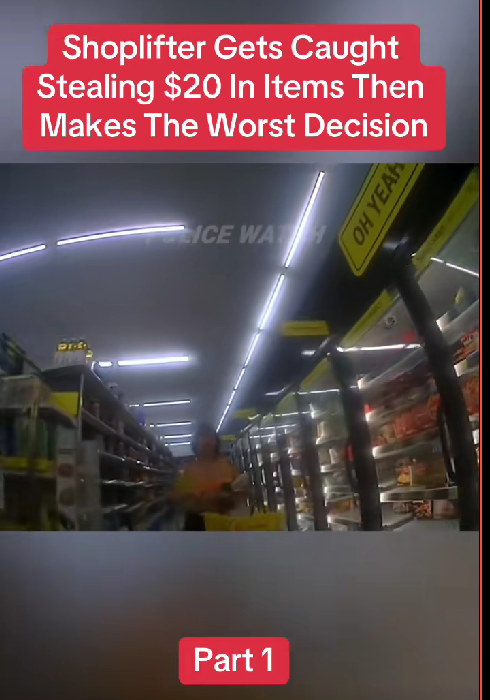 “Shoplifter Busted for Just $20 Worth of Items — Then Makes a Split-Second Choice That Changes Everything”