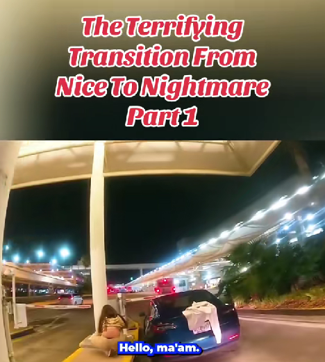 “A Routine Encounter Turns Into Pure Chaos — The Terrifying Shift From Calm to Nightmare Caught on Camera”