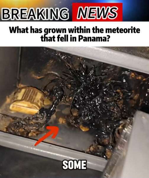 “Panama Meteorite Cracks Open — What Researchers Found Inside Left Everyone Terrified”