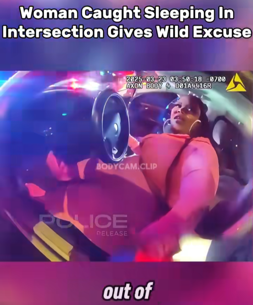 Woman Found Asleep at Busy Intersection Gives Shocking Excuse That Stuns Officers