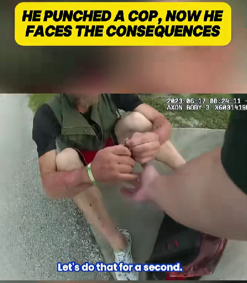 “Man Swings at Officer During Routine Stop — What Happened Next Shocked Everyone”