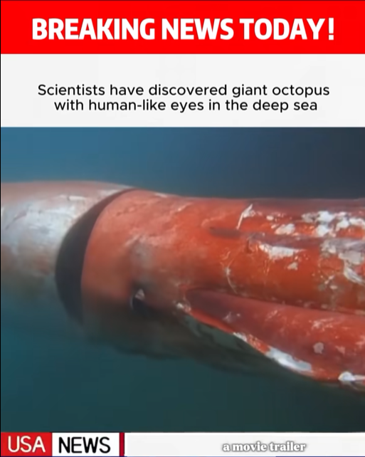 “Scientists Stunned After Encountering Giant Deep-Sea Octopus With Eyes That Look Shockingly Human”