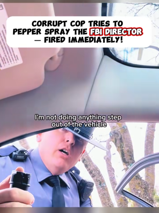 “Officer Tries to Pepper-Spray the WRONG Person — Instantly Loses His Job After Shocking Traffic Stop!”