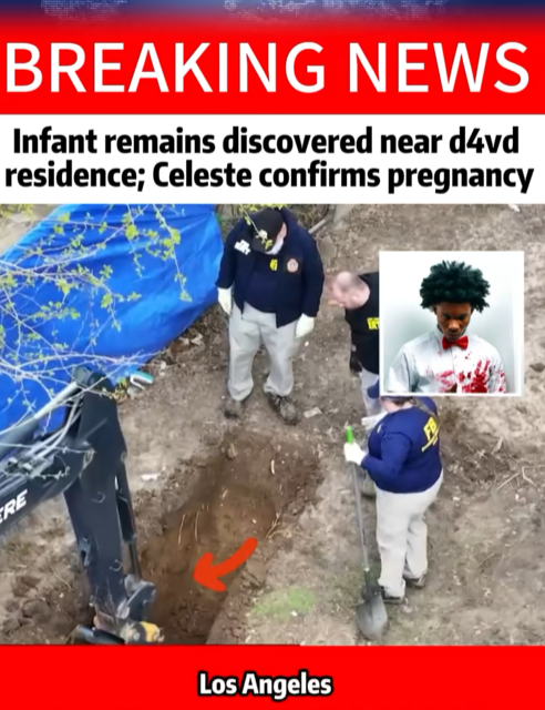 “Shock Discovery Near Celebrity Property Sparks Investigation — Mystery Deepens After New Pregnancy Reveal!”