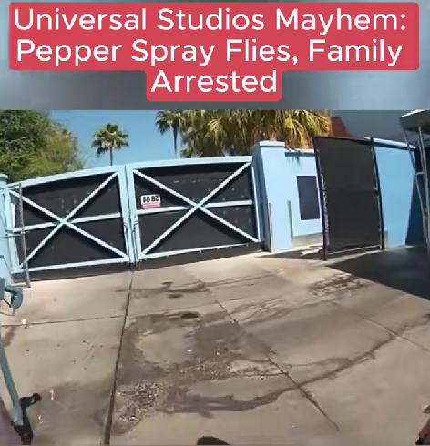 “Mass Chaos at Universal Studios: Pepper Spray, Shouting, and a Family Taken Into Custody”