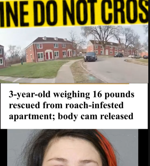“3-Year-Old Found Weighing Just 16 Pounds Rescued From Roach-Infested Apartment”