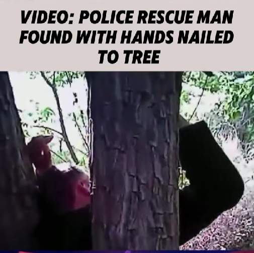 Police Shocked After Discovering Man With Hands Nailed to Tree in Remote Woods