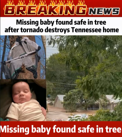 Miracle in Tennessee: Baby Found Alive in Tree After Tornado Destroys Home