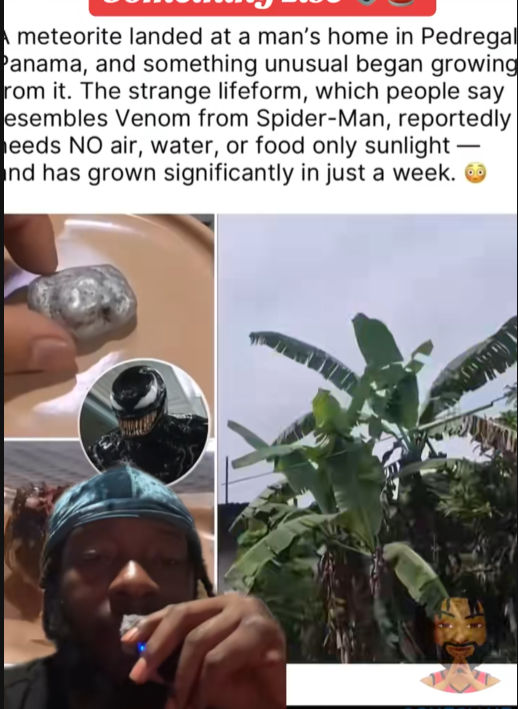 “People Thought a Meteorite in Panama Was Growing Alien Life — Here’s What Really Happened”