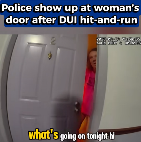 Cops Knock on Woman’s Door After Late-Night Hit-and-Run — What Happens Next Shocks Viewers