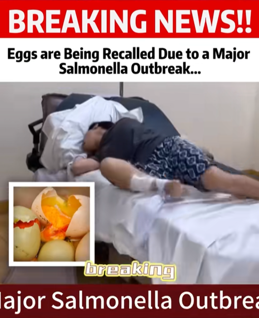 “Terrifying Egg Recall Sparks Panic: Shoppers Warned After Sudden Illness Sends People to Hospital!”
