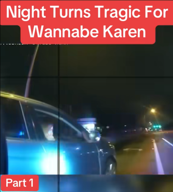 “Late-Night Traffic Stop Goes Horribly Wrong After Woman Pushes Things Too Far ”