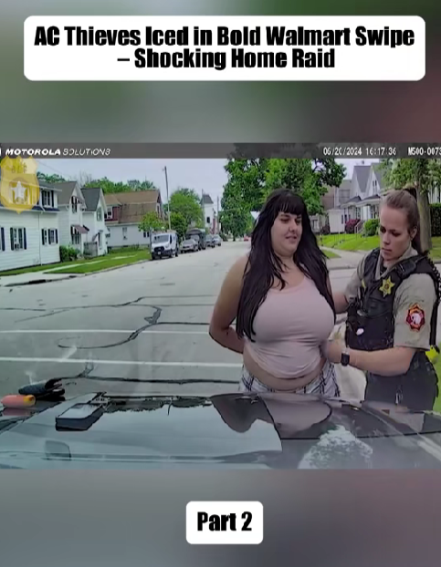 “AC Thieves Caught in Wild Walmart Heist — But the REAL Shock Came During the Home Raid ”