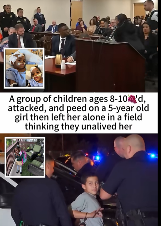 Courtroom Left in Shock as Details Emerge in Case of 5-Year-Old Girl Left for D*ad by Other Children