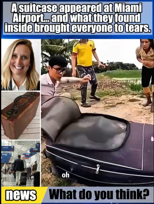 A Suitcase Appeared at Miami Airport — What Was Found Inside Left Everyone Stunned