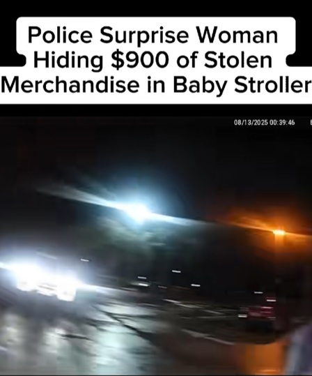 Police Discover $900 Worth of St*len Merchandise Hidden Inside a Baby Stroller During Night Stop