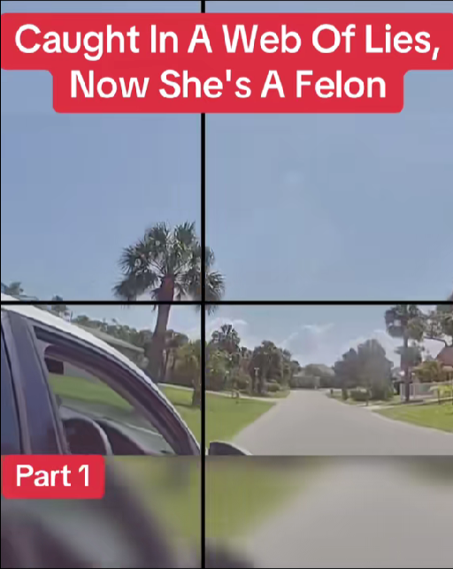 “Caught in a Web of Lies — One Traffic Stop That Turned Her Into a F*lon Overnight”