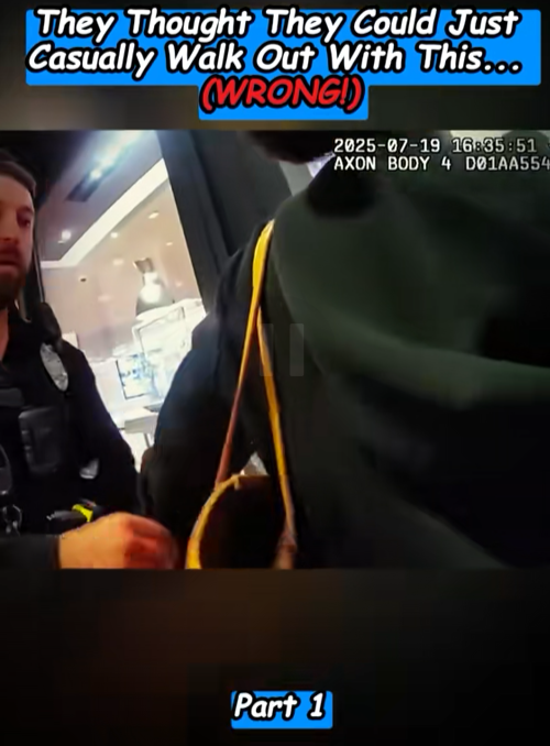 “They Thought They Could Just Walk Out With It — One Small Detail Changed Everything”