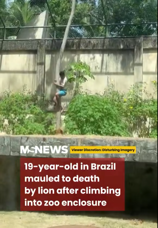 One Reckless Climb Turned F*tal — Inside the Zoo Tragedy That Left a Family Shattered