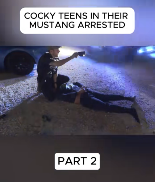 They Thought the Mustang Made Them Untouchable — The Arrest That Proved Them Wrong