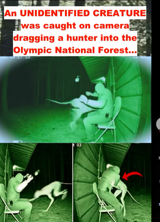 Unidentified Creature Allegedly Caught on Camera Dragging a Hunter Into Olympic National Forest