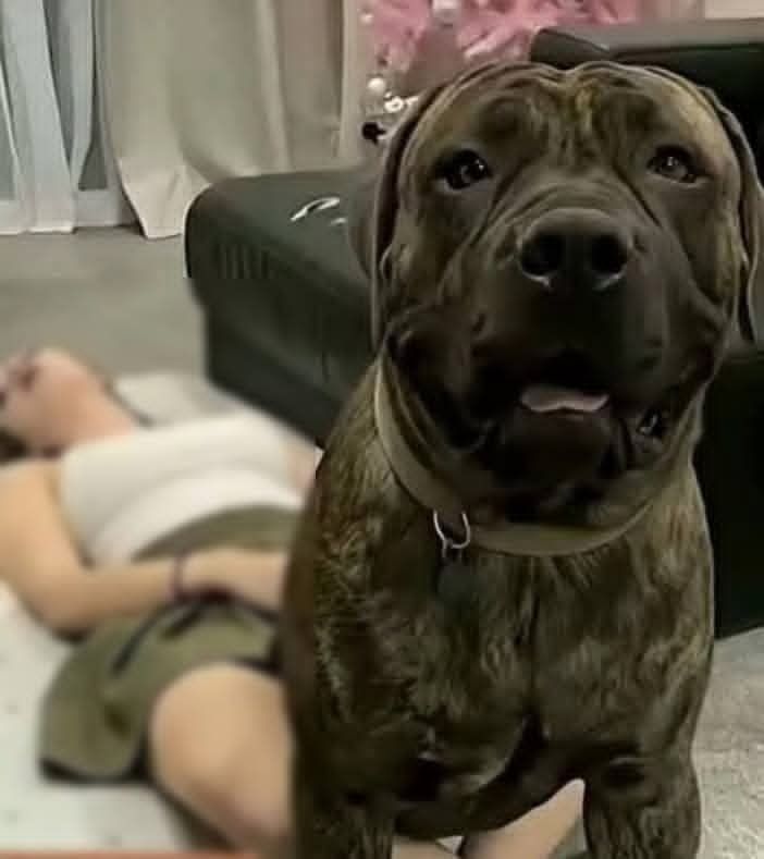 J0ven was hospitalized after being penetrat! See now!