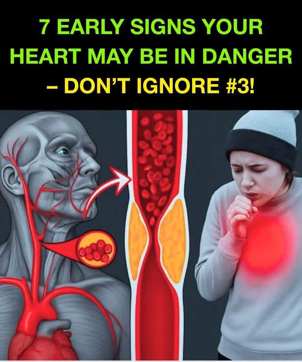 7 Early Signs Your Heart May Be in Danger – Don’t Ignore #3!