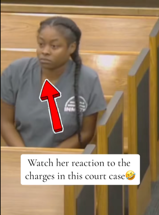 “She Sits Calm in Court — Then Hears the Charges and Her Face Says Everything”