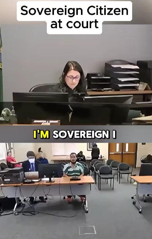 “‘I’m Sovereign!’ He Tries to Reject the Court — The Judge’s Reaction Says It All”