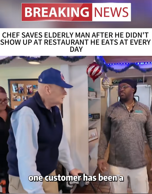 “He Missed His Daily Meal — What the Chef Did Next Ended Up Saving His Life”