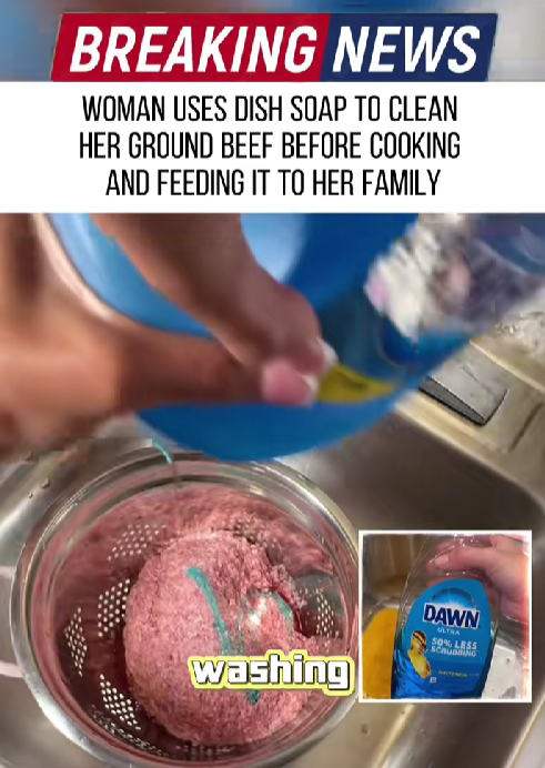 “She Washed Ground Beef With Dish Soap — What She Fed Her Family Next Left Everyone Stunned”