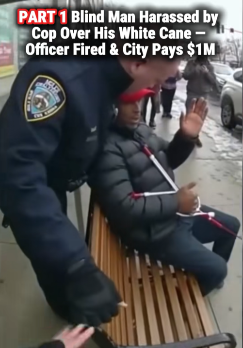 “Blind Man Harassed Over His White Cane — What Happened After Cost the City $1 MILLION”