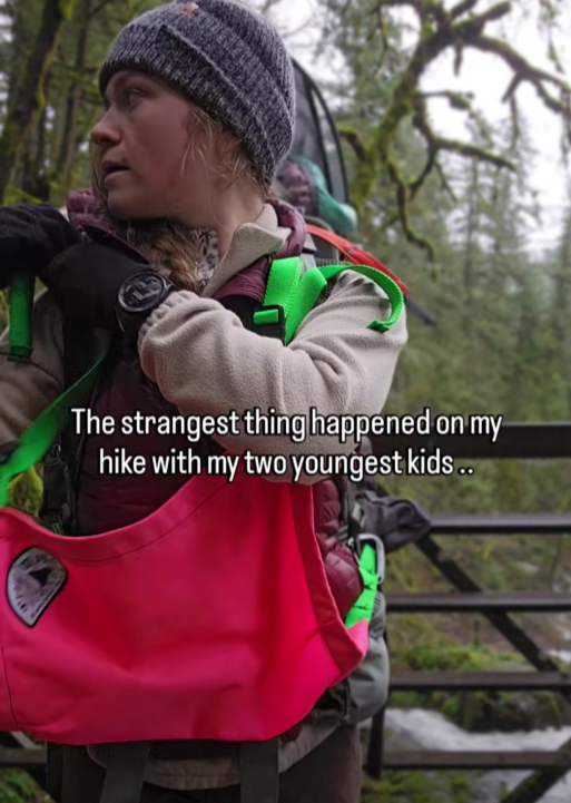 “I Took My Two Youngest on a Hike — What Happened Next Still Gives Me Chills”