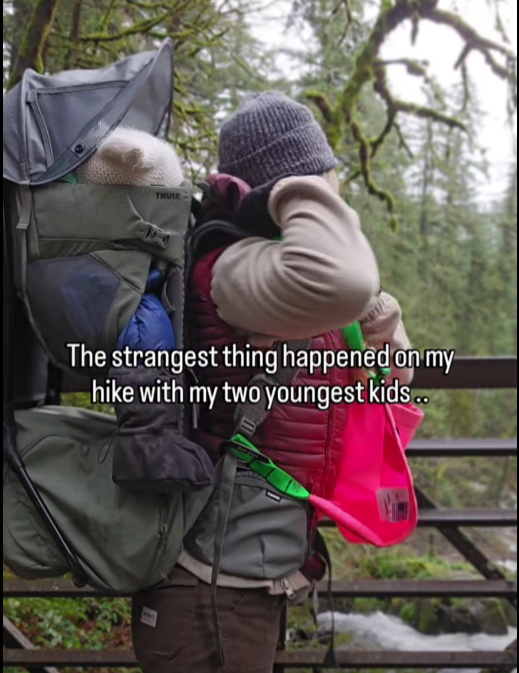 “I Took My Two Youngest on a Quiet Hike — Then Something Happened I Still Can’t Explain”