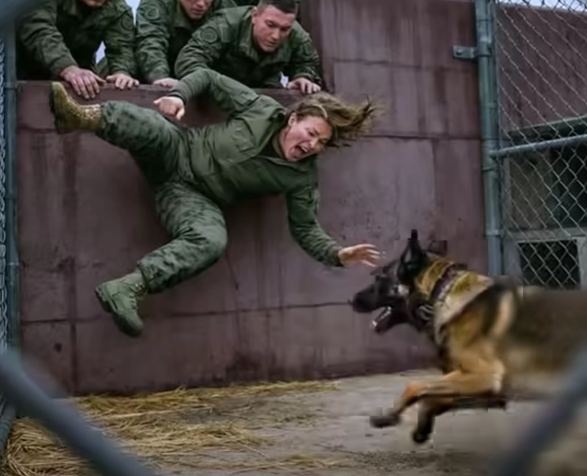 He Will Tear Her Apart! They Locked The Trainee In With A Starved Malinois, Seconds Later, They Were The Ones Shaking