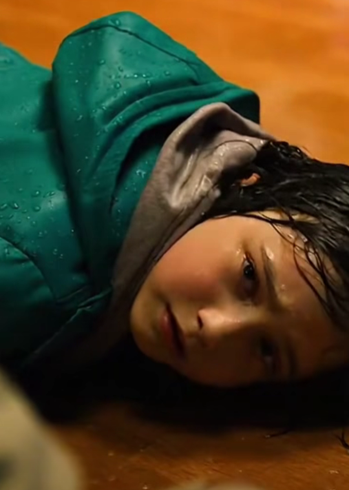 The Husky Who Spoke: A Miraculous Journey Through The Deadly Storm To Save A Child